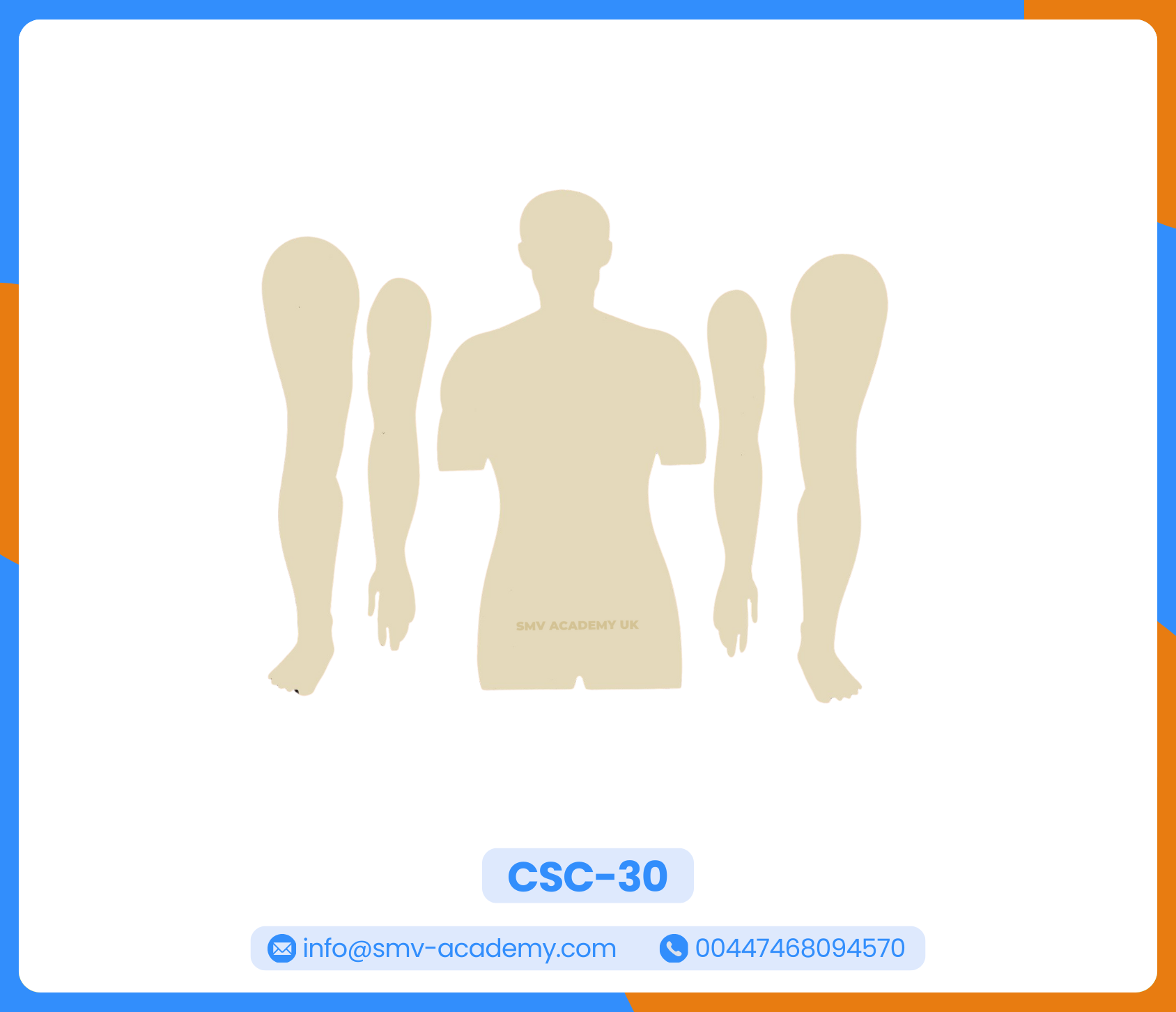 جسم الانسان